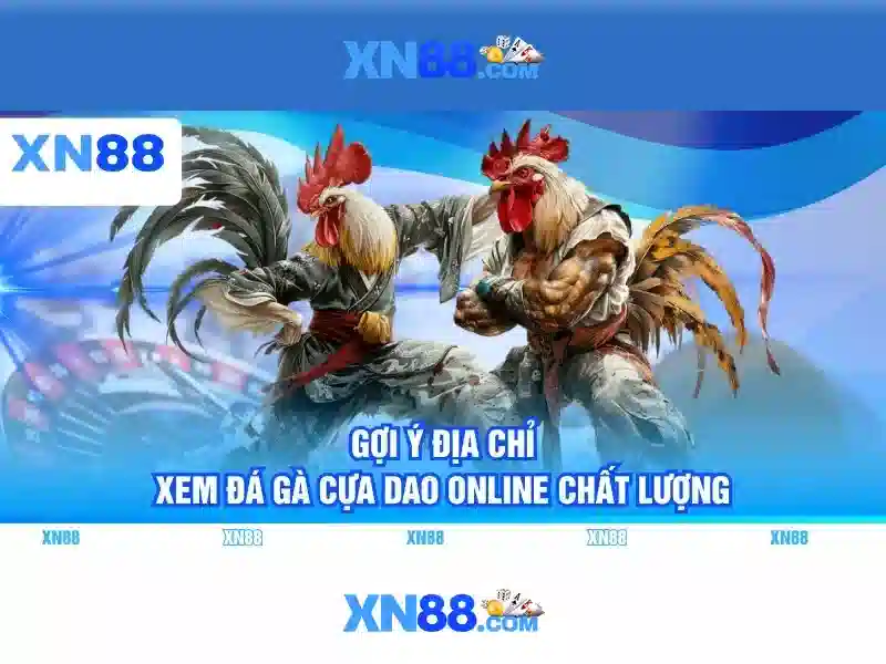 xn88: Tổng quan và các tính năng nổi bật