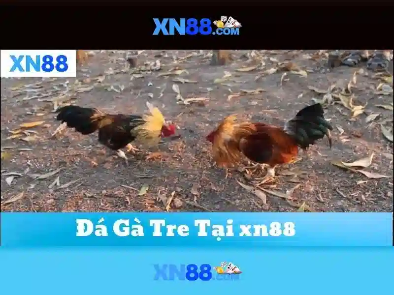 Giới thiệu về xn88 Giới thiệu về xn88