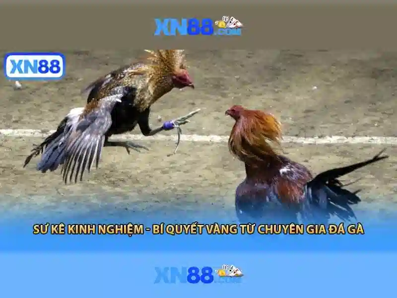 giao dien dang ky dai ly xn88 giao dien dang ky dai ly xn88