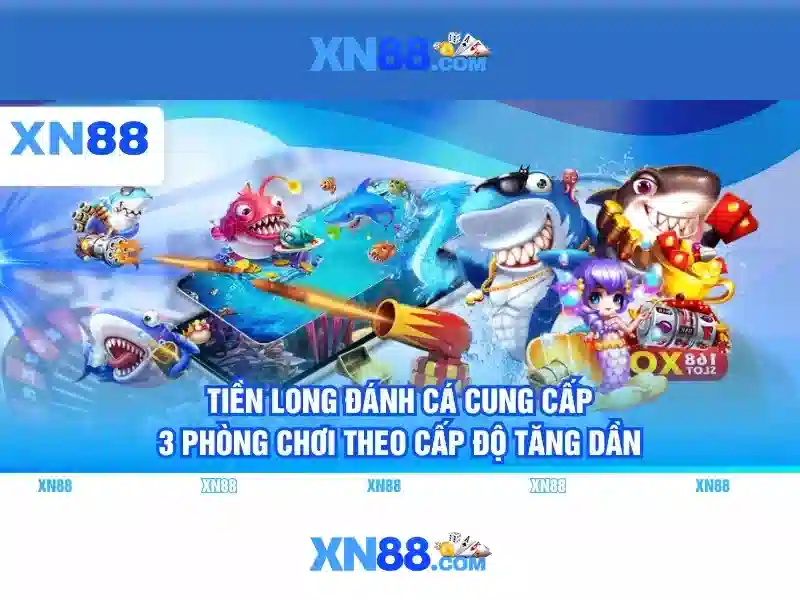 xn88: một cái nhìn tổng quan
