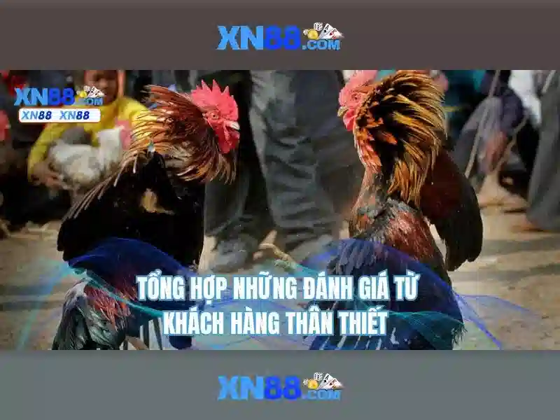 Phương thức thanh toán và rút tiền Phương thức thanh toán và rút tiền