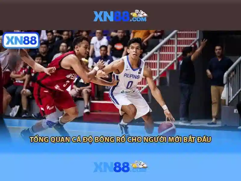 Các tính năng nổi bật của xn88 Các tính năng nổi bật của xn88