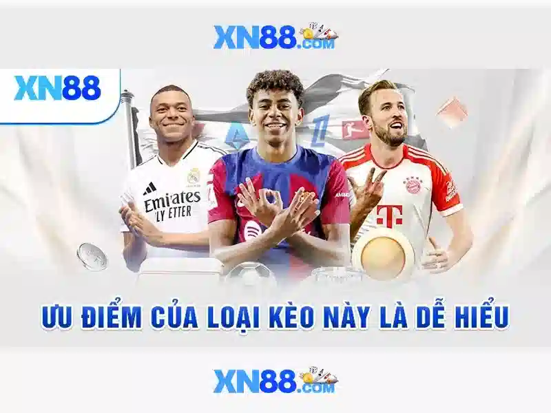 Đặc điểm nổi bật Đặc điểm nổi bật