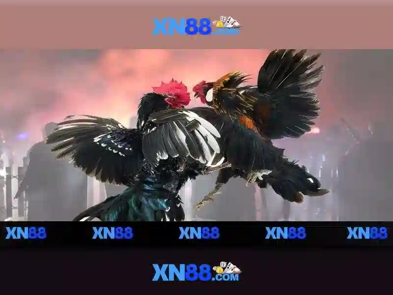 xn88: Nền tảng cá cược và trò chơi trực tuyến