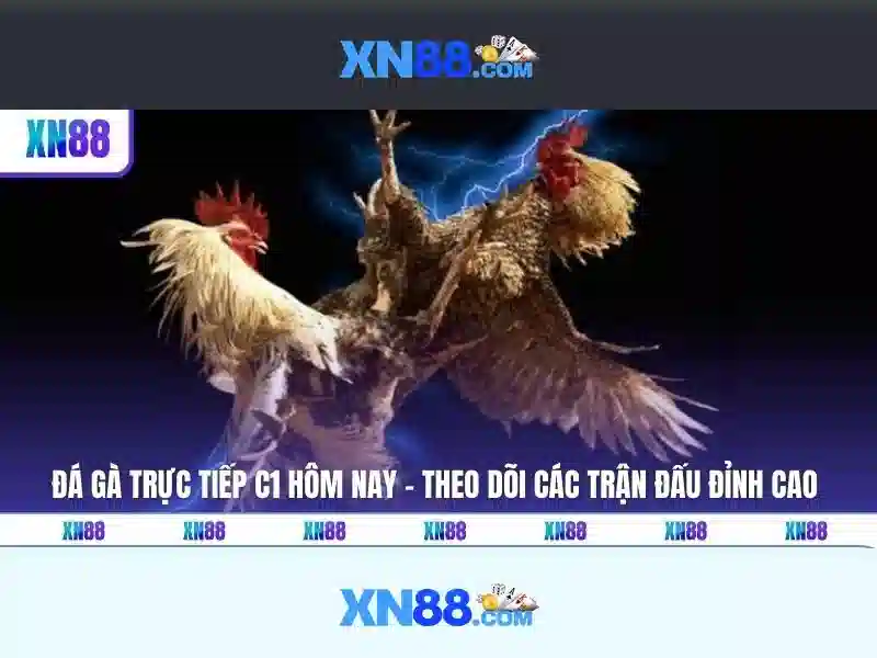 xn88: Nền tảng giải trí trực tuyến và cược trực tuyến