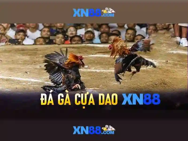 xn88: Nền tảng cược trực tuyến uy tín và cách khai thác trải nghiệm