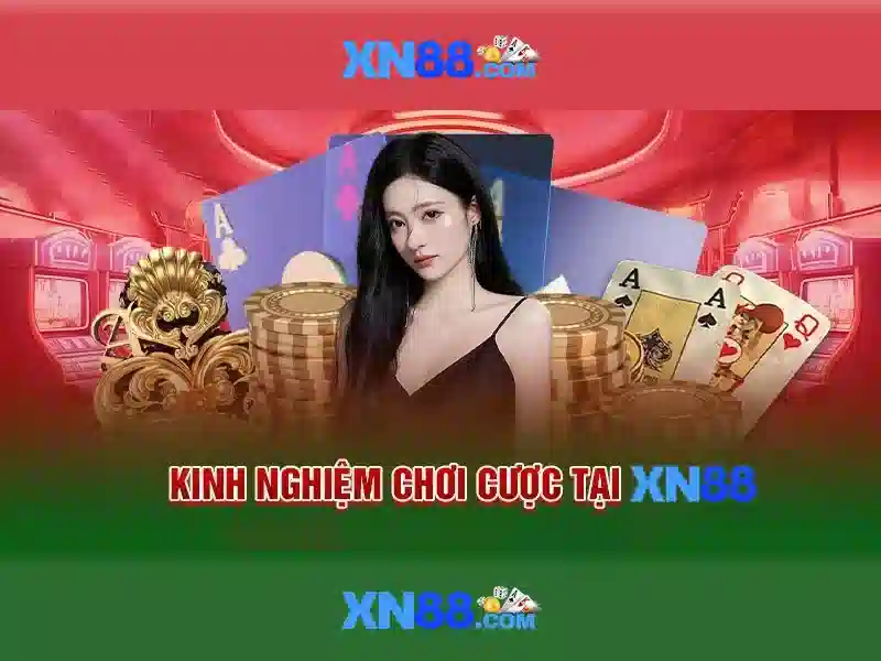 Hướng dẫn tham gia