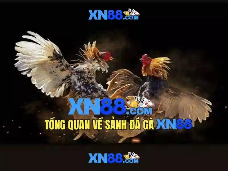 Kết luận về xn88 Kết luận về xn88