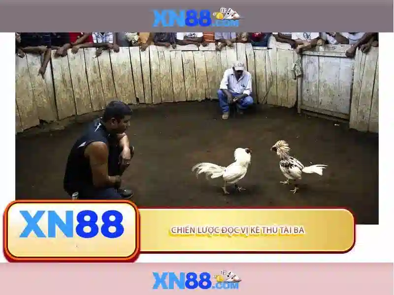 xn88-intro xn88-intro