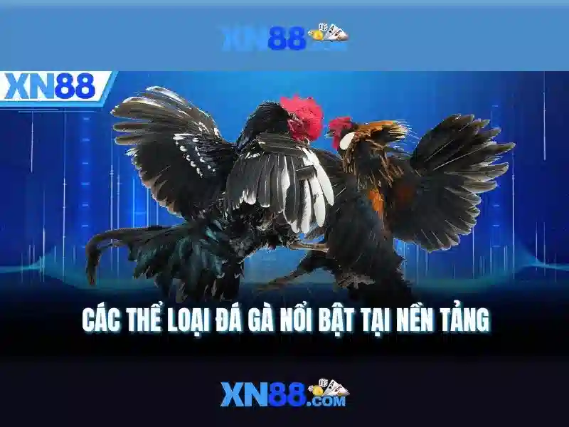 Lịch sử và phát triển của xn88 Lịch sử và phát triển của xn88