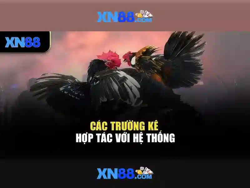 Tính an toàn và bảo mật Tính an toàn và bảo mật