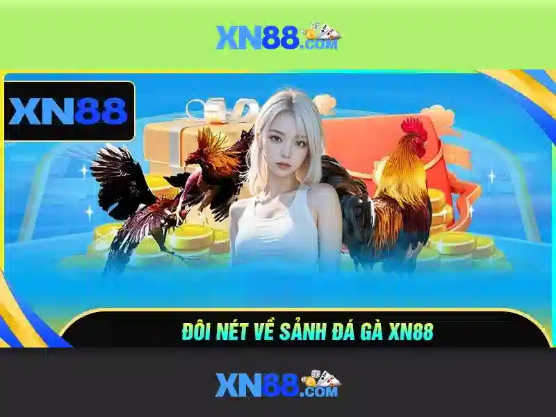 Kinh nghiệm người dùng và tương tác Kinh nghiệm người dùng và tương tác