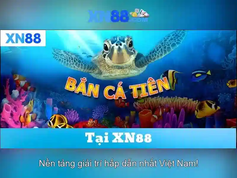 xn88 là gì? xn88 là gì?