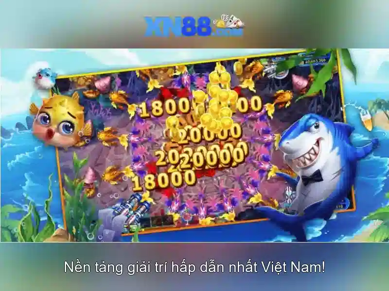 Giới thiệu về xn88