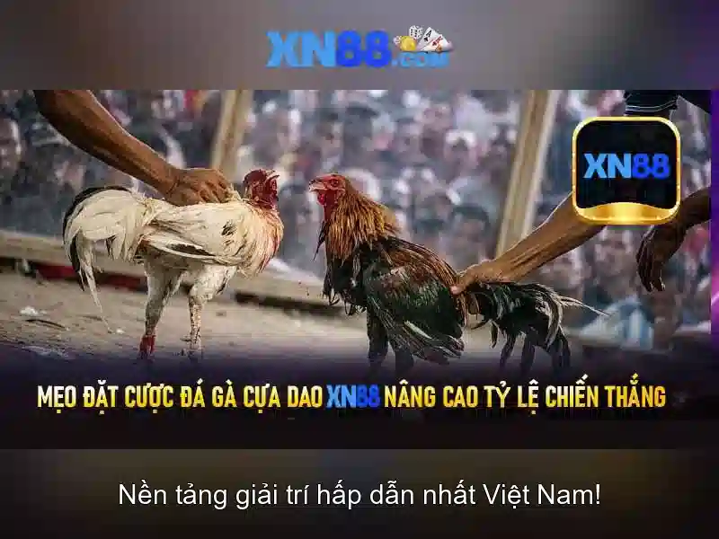 Tiện ích và sản phẩm Tiện ích và sản phẩm