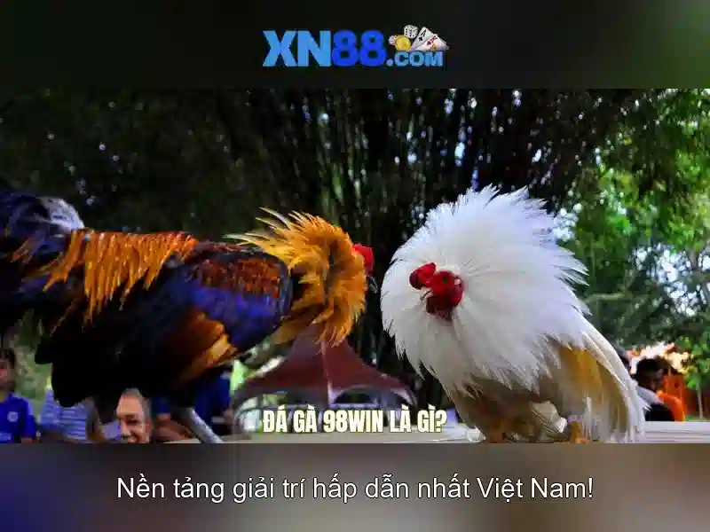 xn88: Nền tảng trực tuyến cho trải nghiệm giải trí và cược