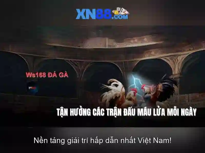 xn88: Nền tảng trò chơi trực tuyến uy tín