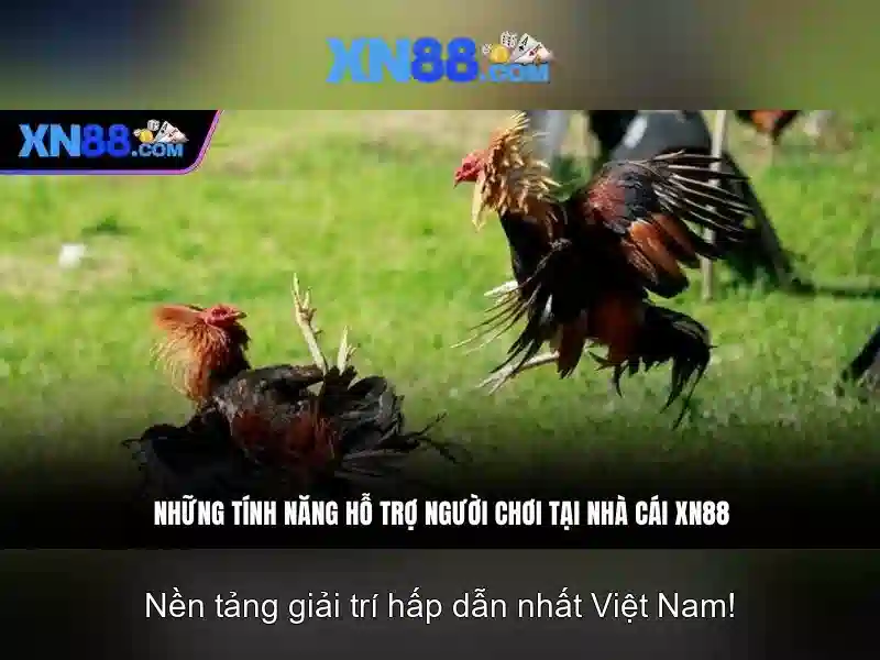 Giới thiệu xn88 Giới thiệu xn88