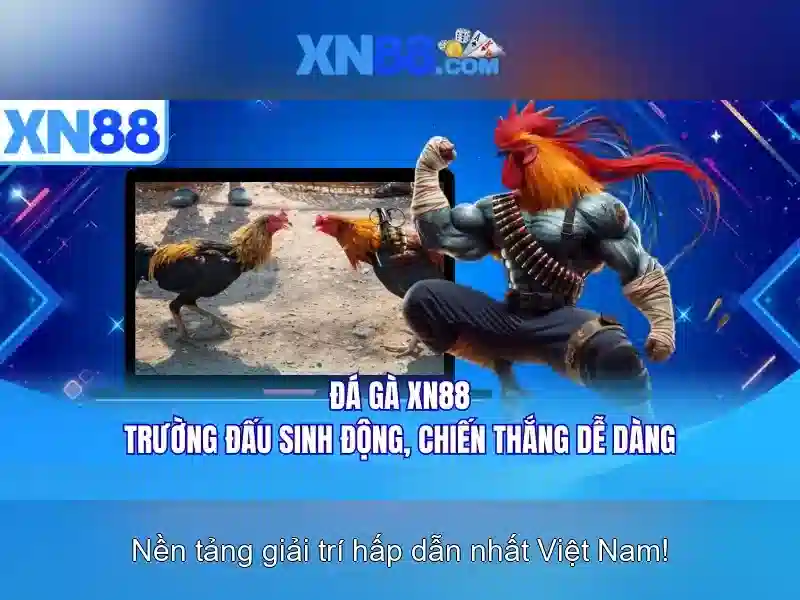 Các dịch vụ nổi bật