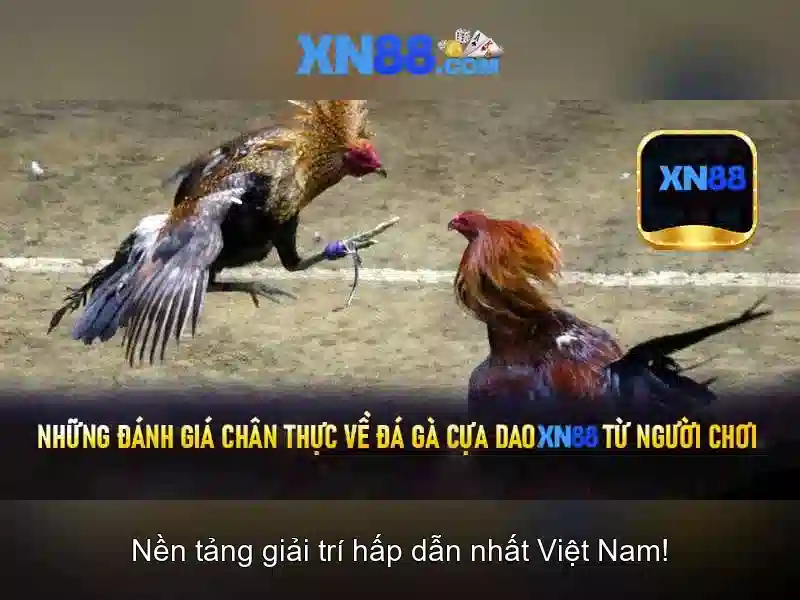 Đánh giá tổng quan về giao diện và trải nghiệm người dùng Đánh giá tổng quan về giao diện và trải nghiệm người dùng