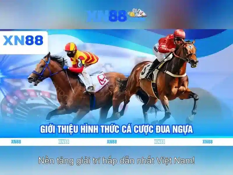 Xn88: Nền tảng giải trí và cược trực tuyến