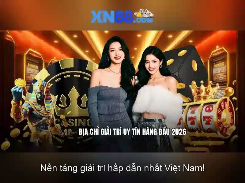 Giao diện người dùng và trải nghiệm