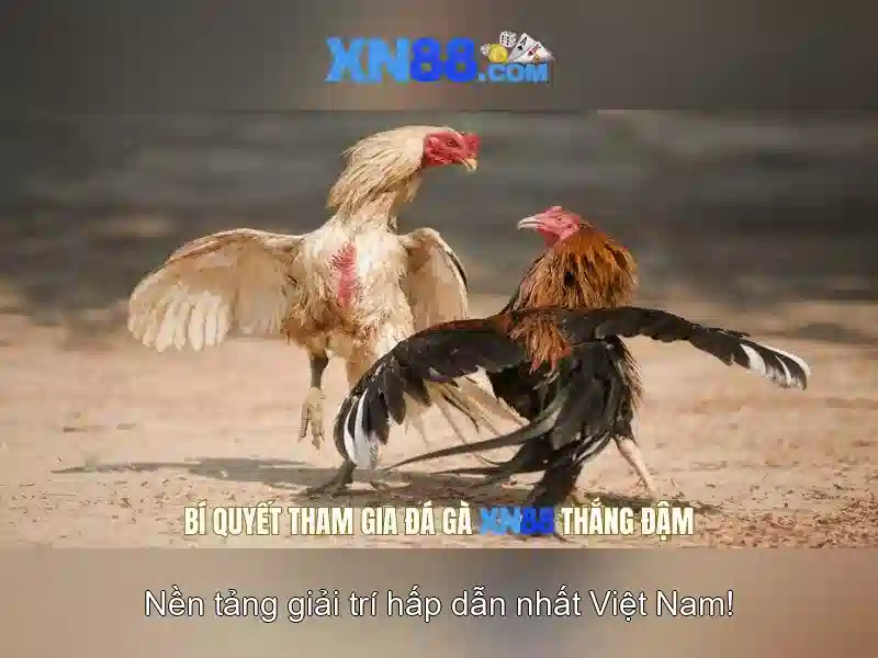 Nền tảng và trò chơi Nền tảng và trò chơi