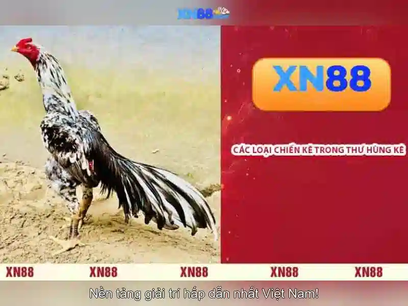 Thanh toán và rút tiền Thanh toán và rút tiền