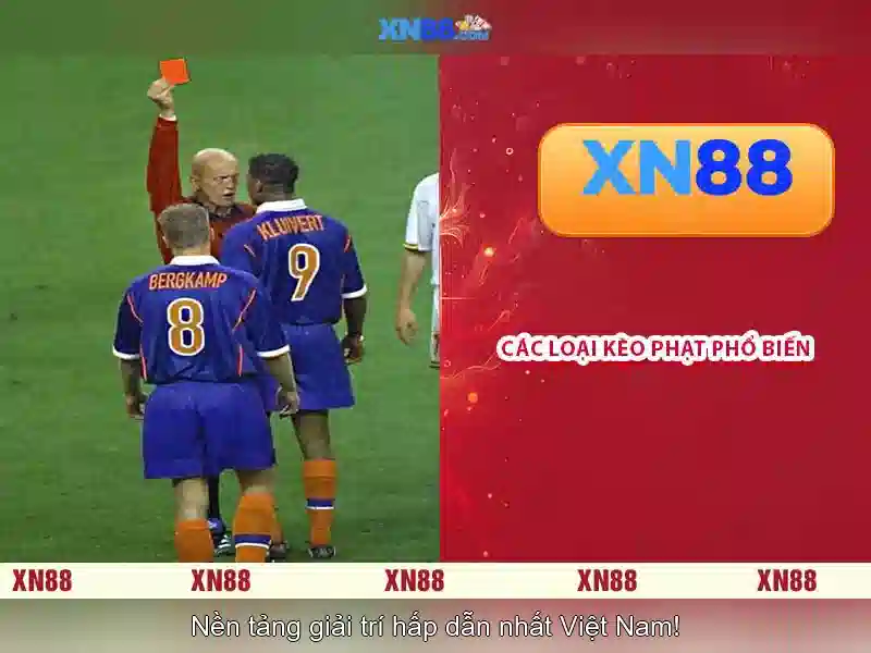 Hướng dẫn tham gia an toàn Hướng dẫn tham gia an toàn