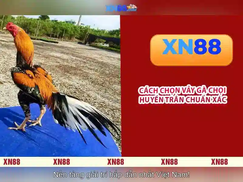 Các tính năng nổi bật