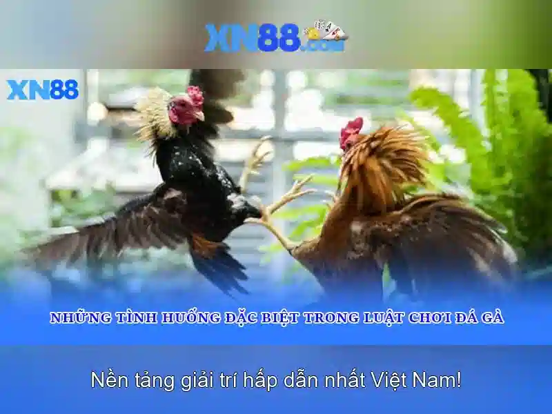 Độ tin cậy và an toàn Độ tin cậy và an toàn