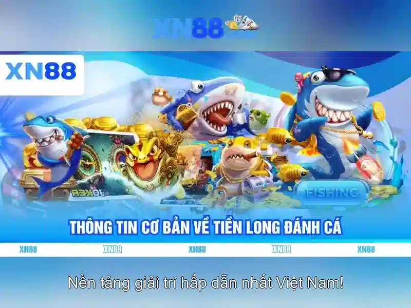 Giới thiệu về xn88 Giới thiệu về xn88