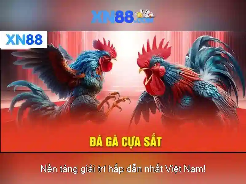An toàn và pháp lý An toàn và pháp lý