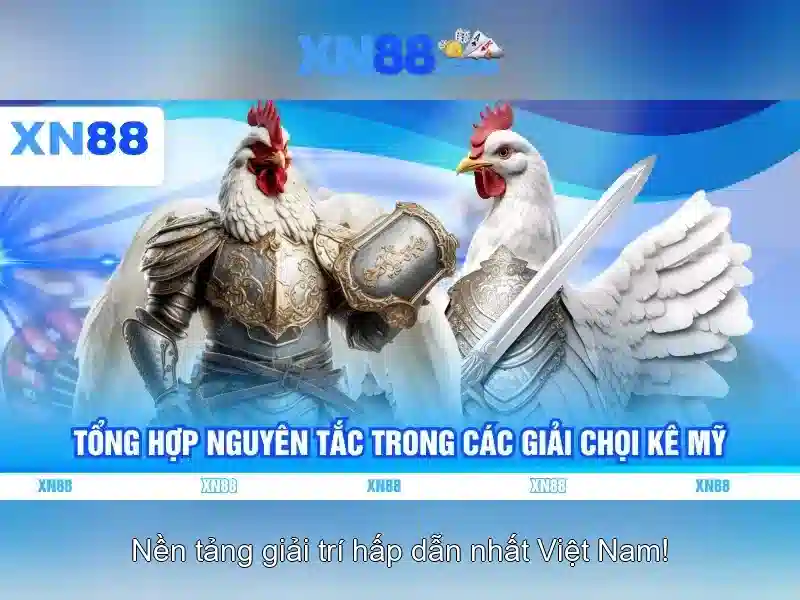 Các tính năng nổi bật của xn88 Các tính năng nổi bật của xn88