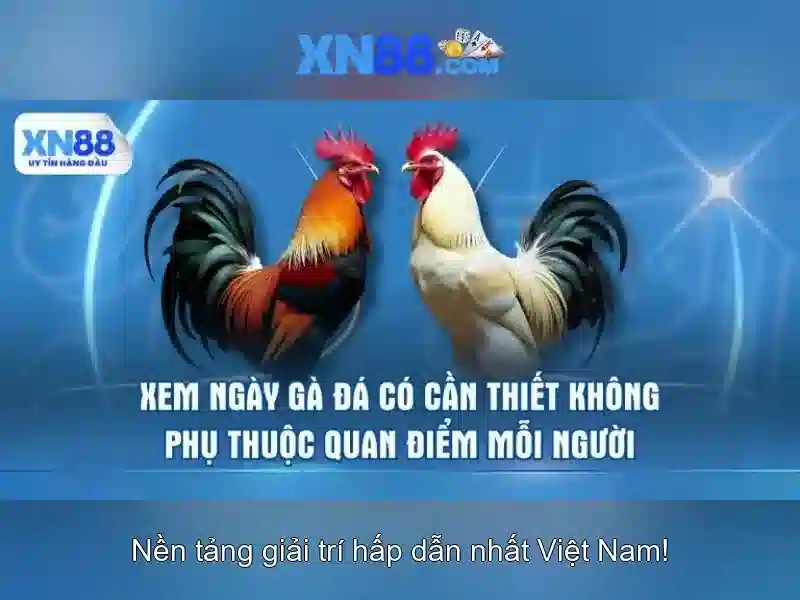 xn88: một nền tảng số đa chức năng