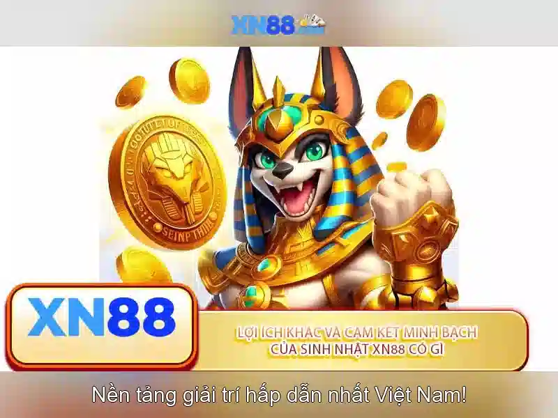 Giao diện người dùng và trải nghiệm Giao diện người dùng và trải nghiệm