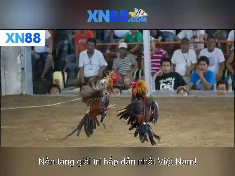 Giới thiệu về xn88 Giới thiệu về xn88