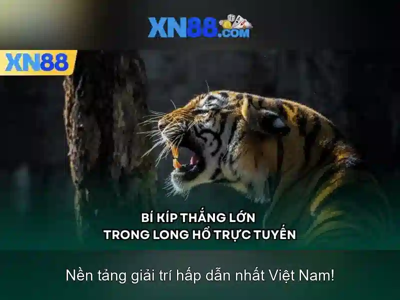 xn88: Nền tảng trực tuyến và cộng đồng