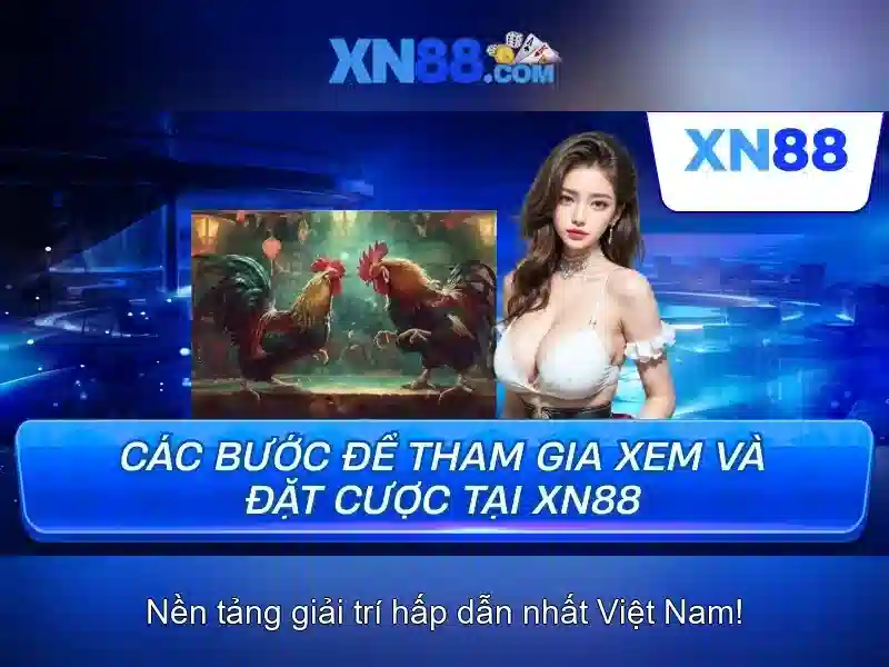 xn88: An toàn và Giải trí trên Mạng