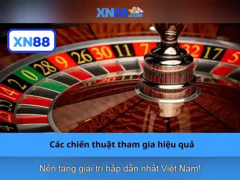 Nền tảng và phạm vi hoạt động Nền tảng và phạm vi hoạt động