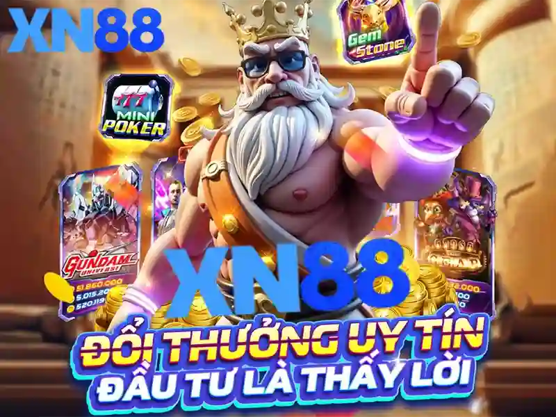 Xn88 và lĩnh vực hoạt động