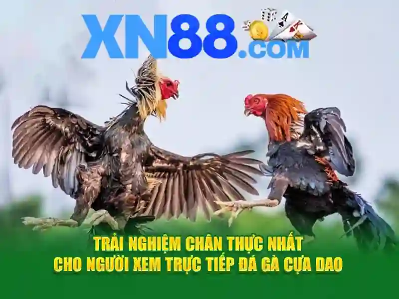 Giới thiệu về xn88