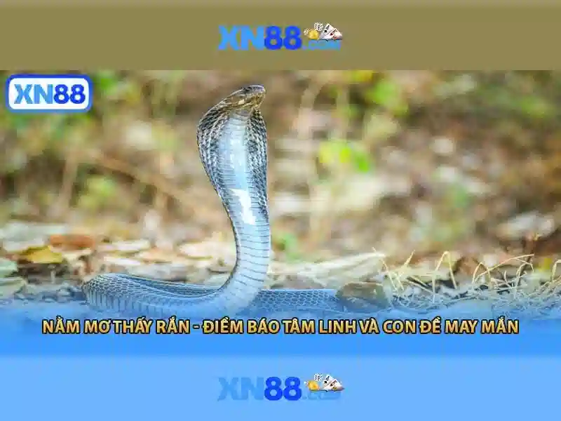 Mẹo chơi baccarat nâng cao dành cho hội viên XN88 giàu kinh nghiệm