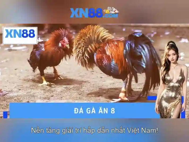 Tìm hiểu về baccarat trực tiếp tại XN88