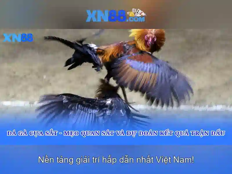 Những cách chơi hiệu quả để kiểm soát ván bài