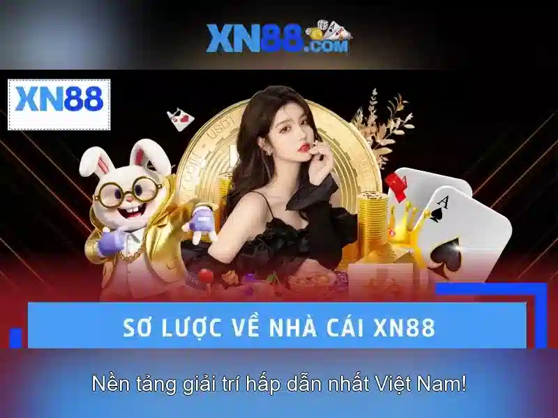 Các quy định cốt lõi của chính sách bảo mật XN88