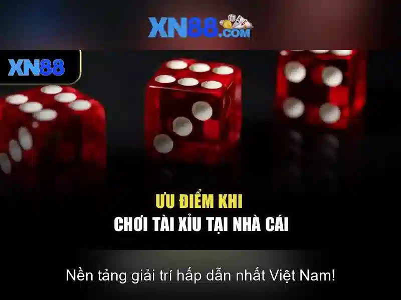 Giới thiệu đầy đủ các thông tin về cá cược bida